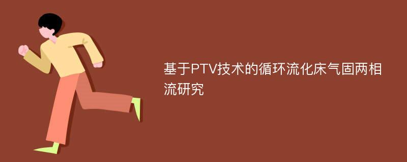 基于PTV技术的循环流化床气固两相流研究