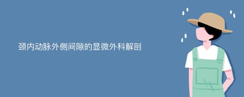 颈内动脉外侧间隙的显微外科解剖