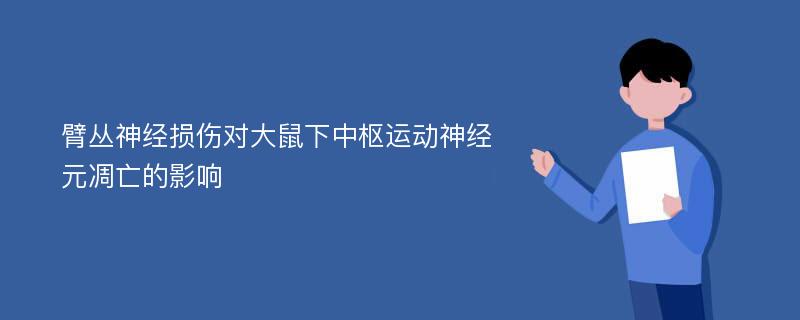 臂丛神经损伤对大鼠下中枢运动神经元凋亡的影响